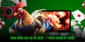 Cách băng cựa gà đá