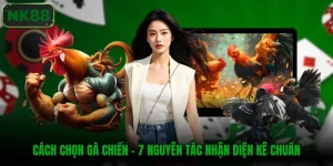 Cách chọn gà chiến