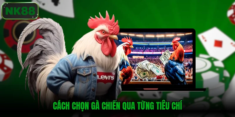Cách chọn gà chiến qua từng tiêu chí
