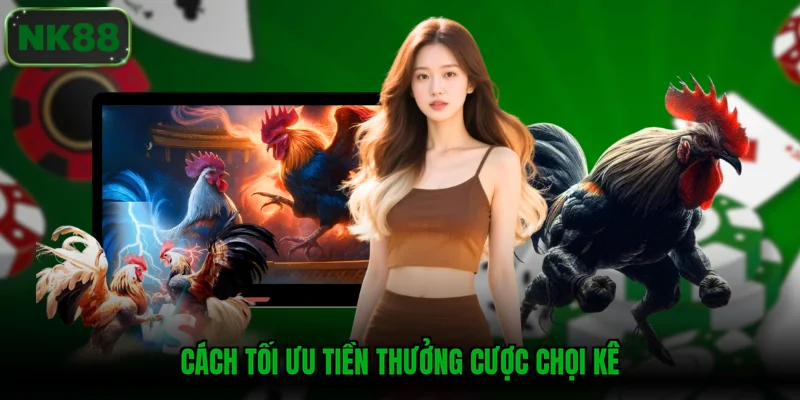 Cách tối ưu tiền thưởng cược chọi kê