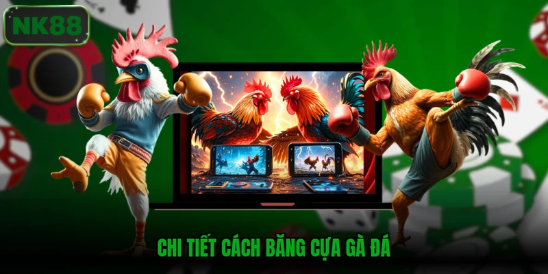 Chi tiết cách băng cựa gà đá