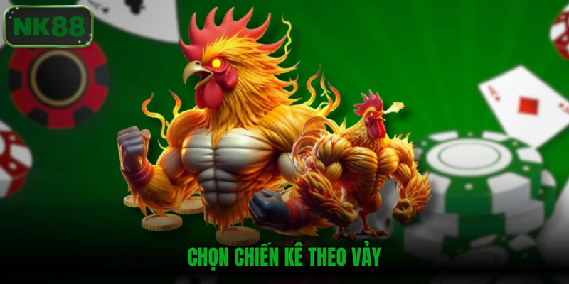 Chọn chiến kê theo vảy