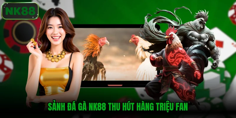 Sảnh đá gà NK88 thu hút hàng triệu fan